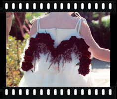 Flowergirl angel wings