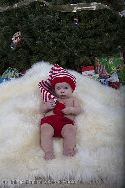 leoXmas33.jpg