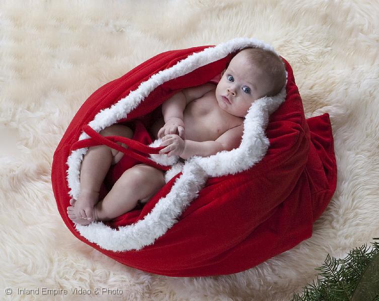 leoXmas82.jpg
