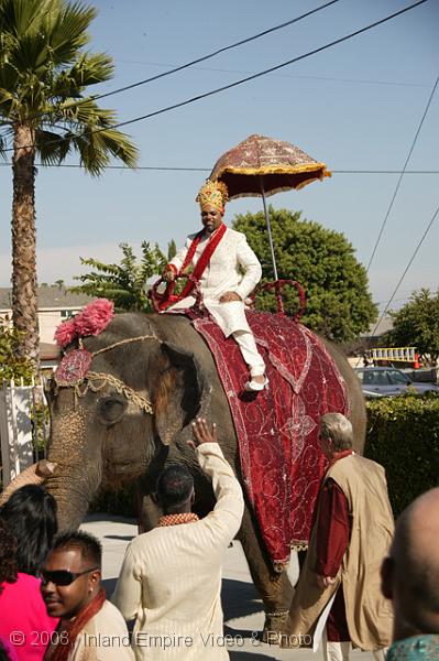 CC8V5035.jpg - Indian Wedding
8-8-08