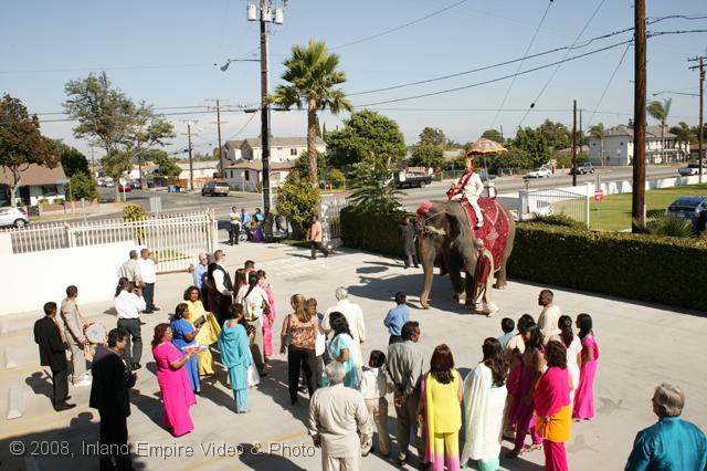 CC8V5040.jpg - Indian Wedding
8-8-08
