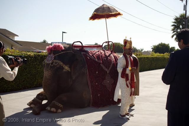 CC8V5057.jpg - Indian Wedding
8-8-08