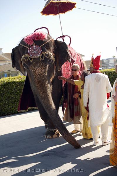 CC8V5059.jpg - Indian Wedding
8-8-08